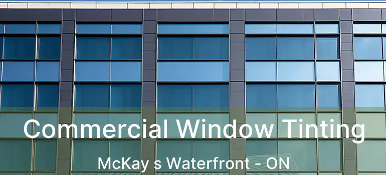Commercial Window Tinting McKay s Waterfront - ON