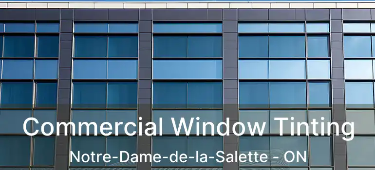  Commercial Window Tinting Notre-Dame-de-la-Salette - ON