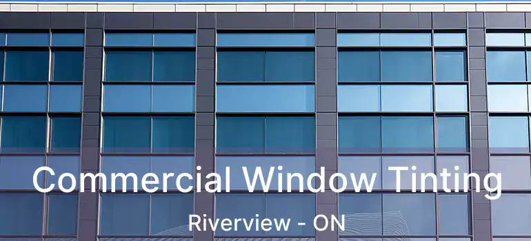  Commercial Window Tinting Riverview - ON