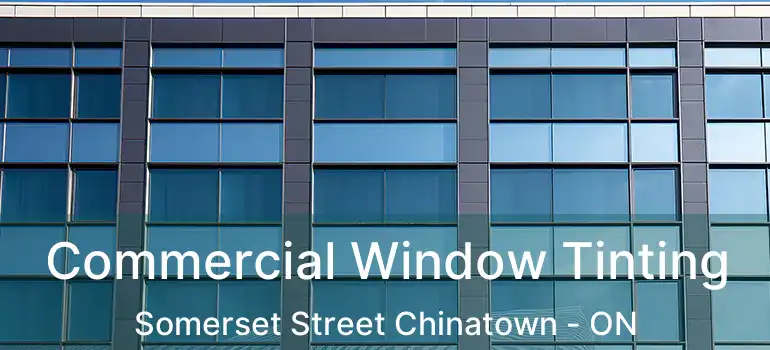  Commercial Window Tinting Somerset Street Chinatown - ON