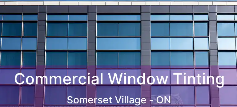  Commercial Window Tinting Somerset Village - ON