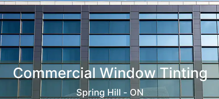  Commercial Window Tinting Spring Hill - ON
