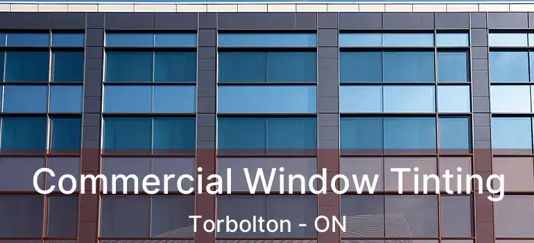  Commercial Window Tinting Torbolton - ON