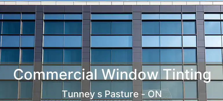 Commercial Window Tinting Tunney s Pasture - ON