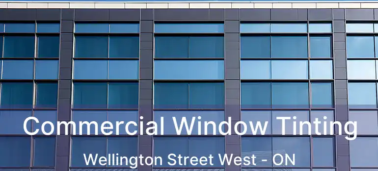  Commercial Window Tinting Wellington Street West - ON