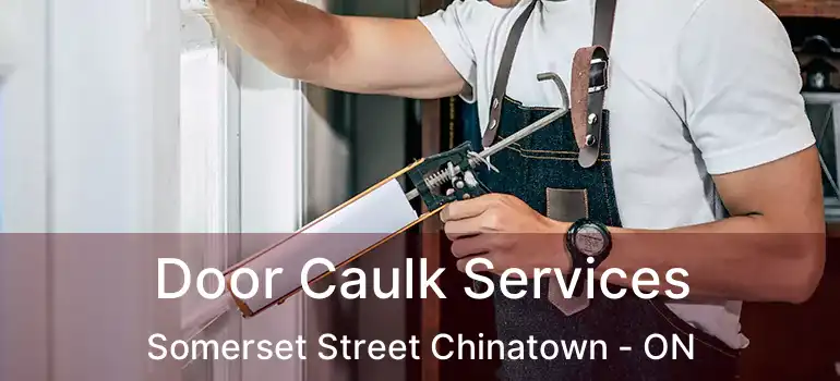 Door Caulk Services Somerset Street Chinatown - ON