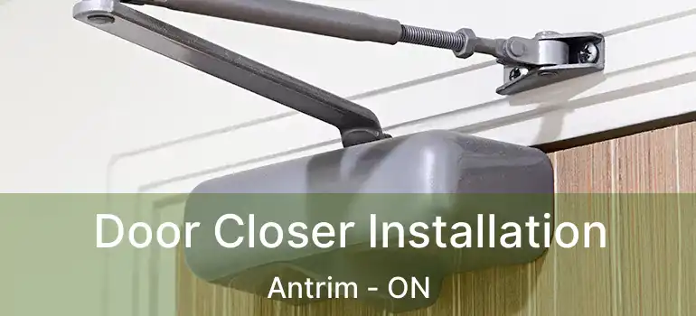 Door Closer Installation Antrim - ON