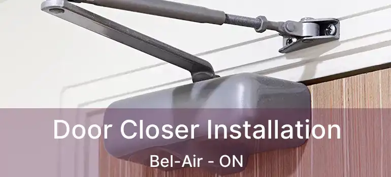 Door Closer Installation Bel-Air - ON