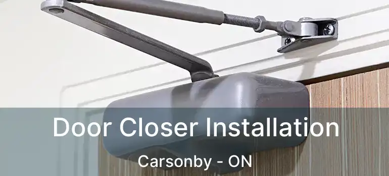 Door Closer Installation Carsonby - ON