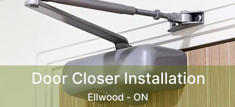 Door Closer Installation Ellwood - ON