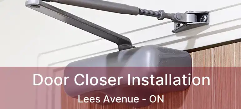 Door Closer Installation Lees Avenue - ON