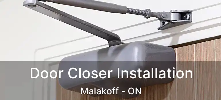 Door Closer Installation Malakoff - ON
