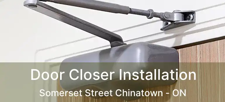 Door Closer Installation Somerset Street Chinatown - ON