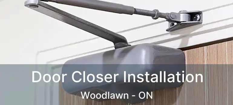 Door Closer Installation Woodlawn - ON