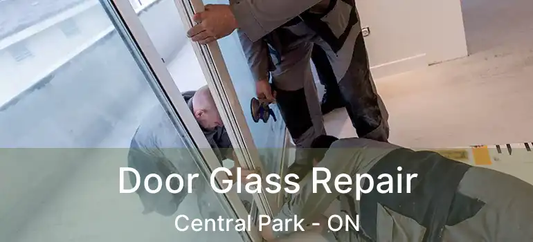 Door Glass Repair Central Park - ON