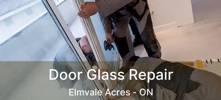Door Glass Repair Elmvale Acres - ON