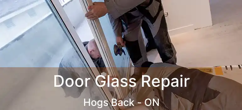 Door Glass Repair Hogs Back - ON