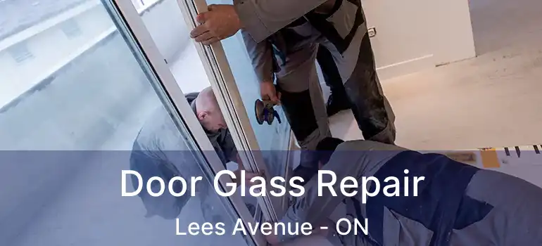 Door Glass Repair Lees Avenue - ON