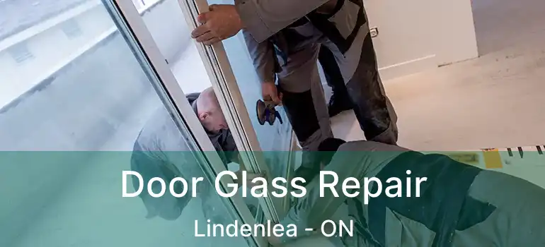 Door Glass Repair Lindenlea - ON