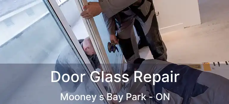 Door Glass Repair Mooney s Bay Park - ON