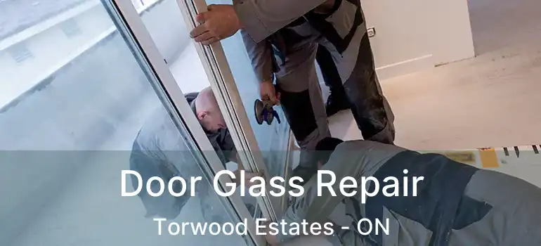 Door Glass Repair Torwood Estates - ON