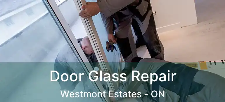 Door Glass Repair Westmont Estates - ON