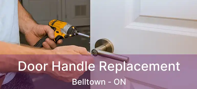 Door Handle Replacement Belltown - ON