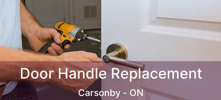 Door Handle Replacement Carsonby - ON
