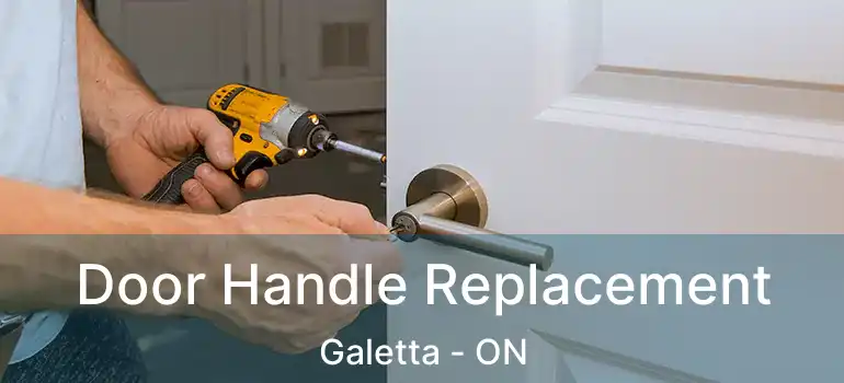 Door Handle Replacement Galetta - ON