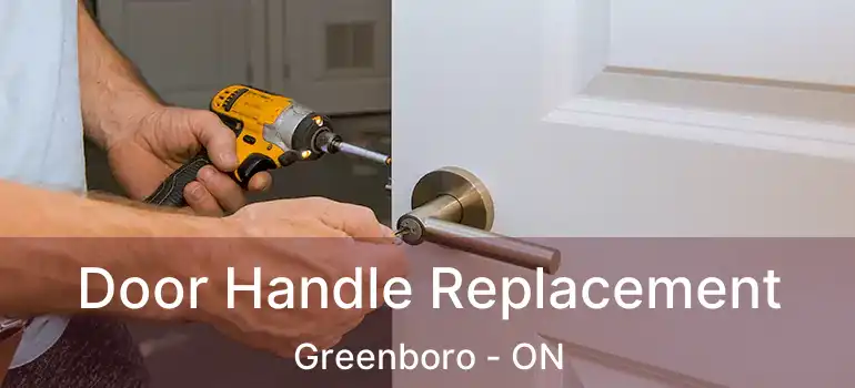 Door Handle Replacement Greenboro - ON