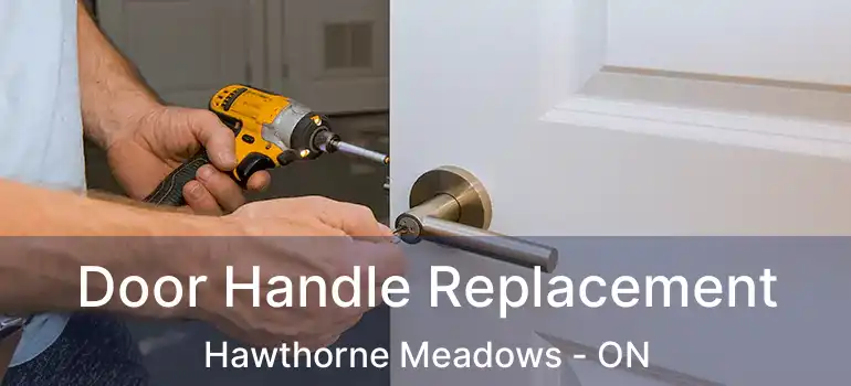 Door Handle Replacement Hawthorne Meadows - ON