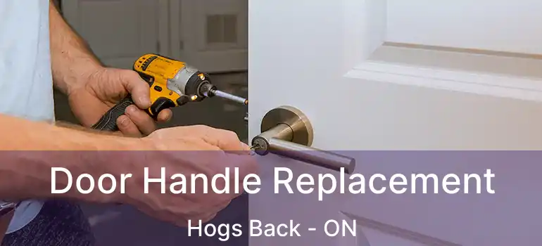 Door Handle Replacement Hogs Back - ON