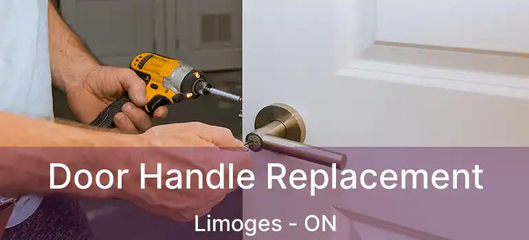 Door Handle Replacement Limoges - ON