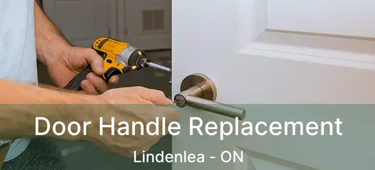 Door Handle Replacement Lindenlea - ON