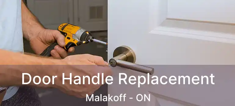 Door Handle Replacement Malakoff - ON