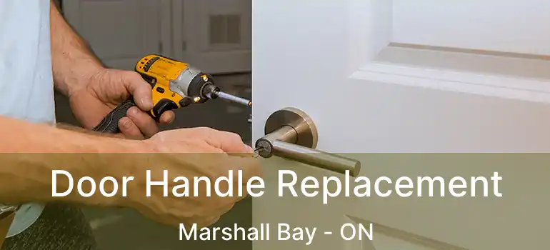 Door Handle Replacement Marshall Bay - ON