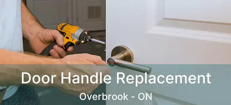 Door Handle Replacement Overbrook - ON