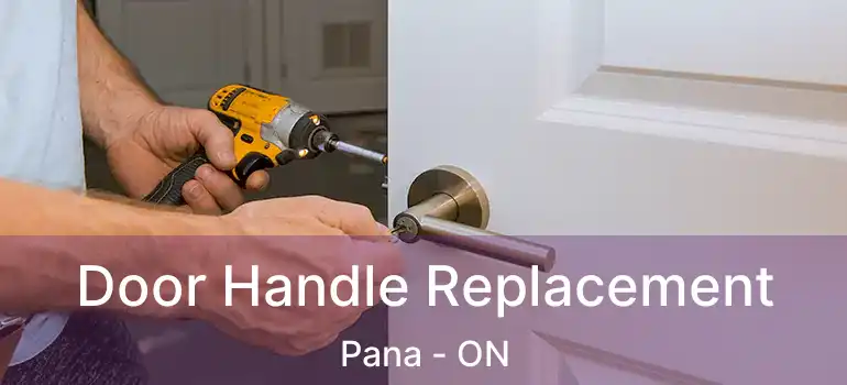 Door Handle Replacement Pana - ON