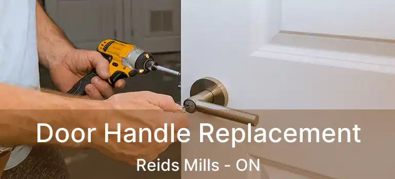 Door Handle Replacement Reids Mills - ON