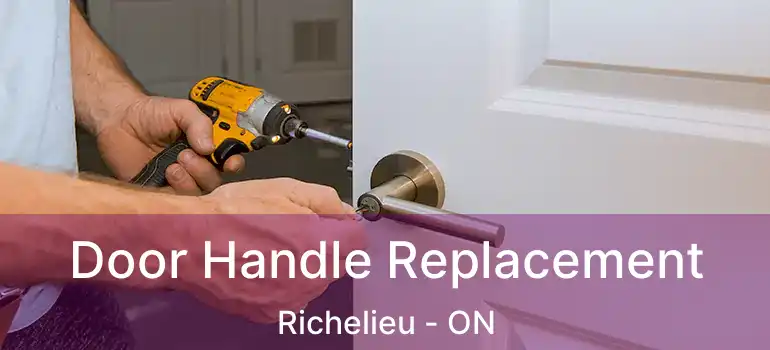 Door Handle Replacement Richelieu - ON