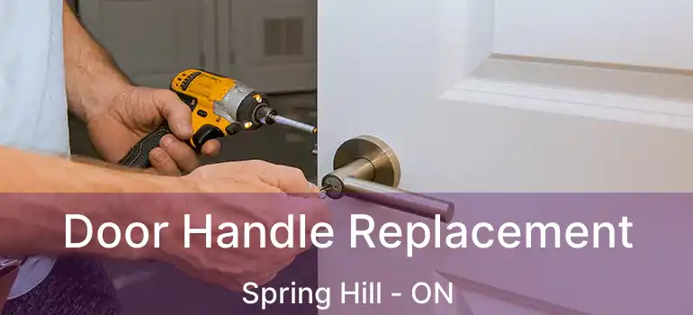Door Handle Replacement Spring Hill - ON