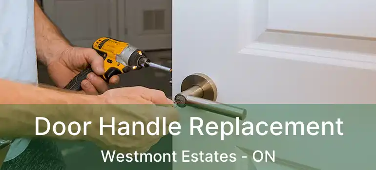 Door Handle Replacement Westmont Estates - ON
