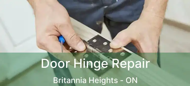  Door Hinge Repair Britannia Heights - ON