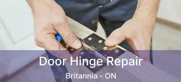  Door Hinge Repair Britannia - ON
