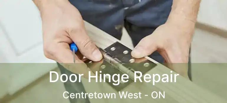  Door Hinge Repair Centretown West - ON