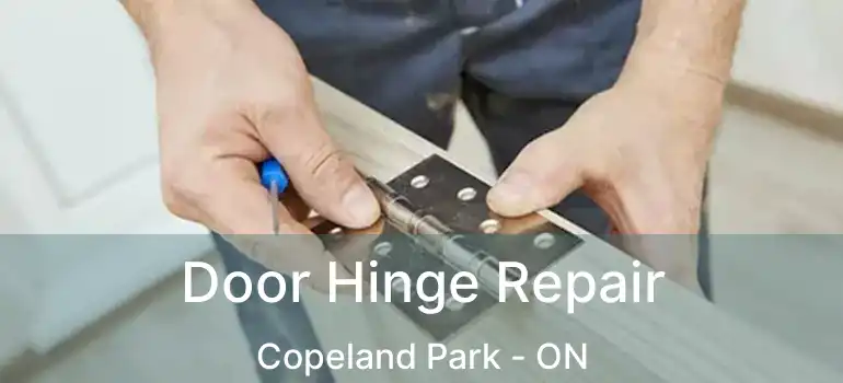  Door Hinge Repair Copeland Park - ON