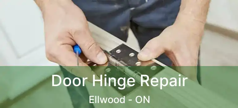  Door Hinge Repair Ellwood - ON