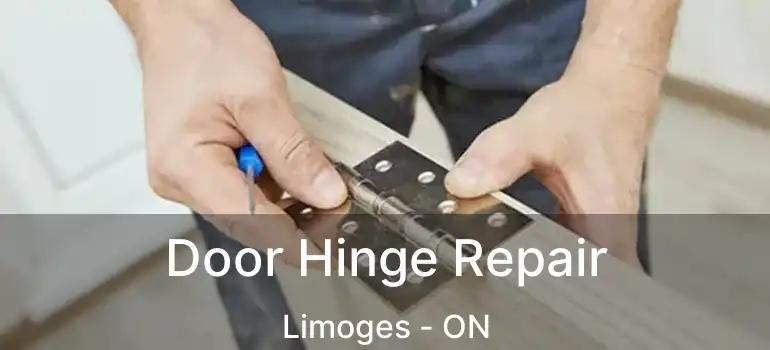 Door Hinge Repair Limoges - ON