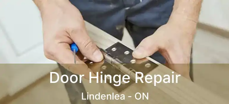  Door Hinge Repair Lindenlea - ON