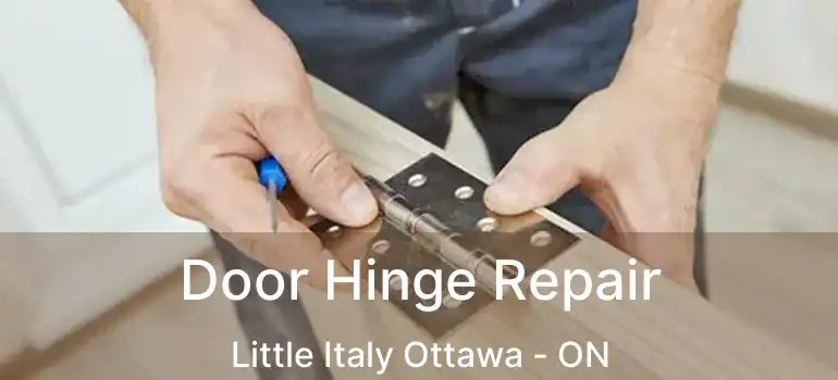  Door Hinge Repair Little Italy Ottawa - ON